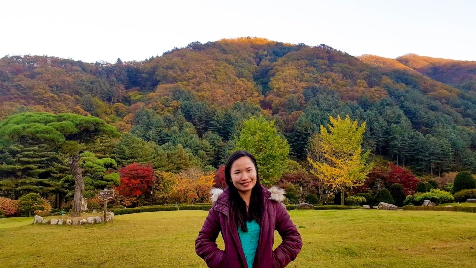 Garden of the morning calm