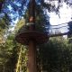 Rotorua redwood forest tree top walk night lights trubridge lights