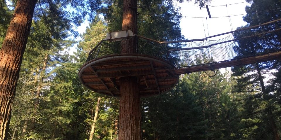 Rotorua redwood forest tree top walk night lights trubridge lights